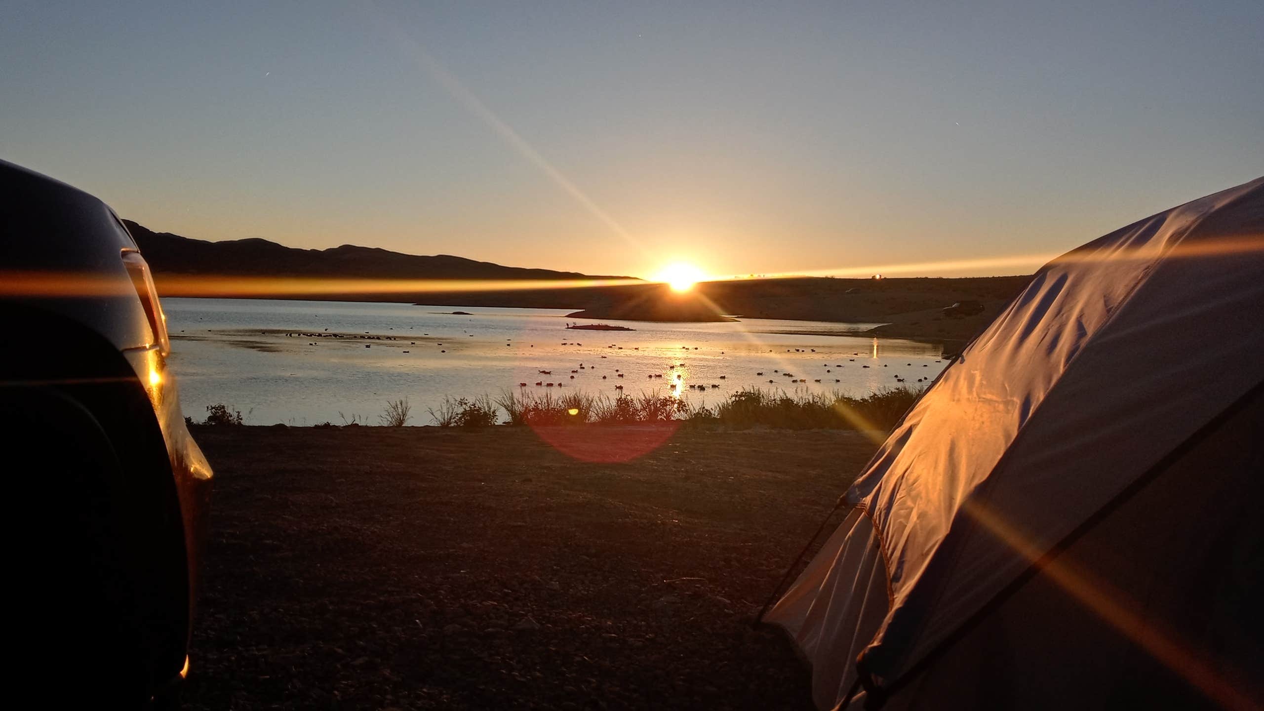 Thomas A.'s photo at Government Wash — Lake Mead National Recreation Area near Henderson, NV