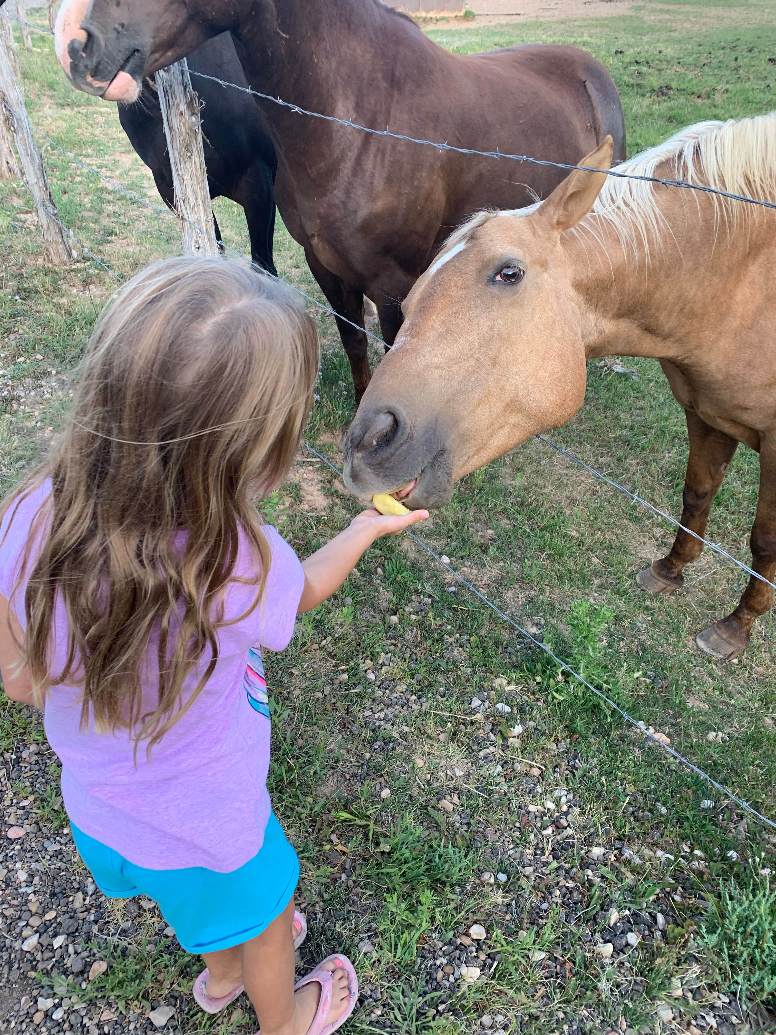 Camping near Whispering pines glamping resort: Bryce Zion Campground, Glendale, Utah