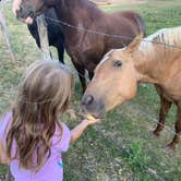 Review photo of Bryce Zion Campground by Lara K., October 16, 2021