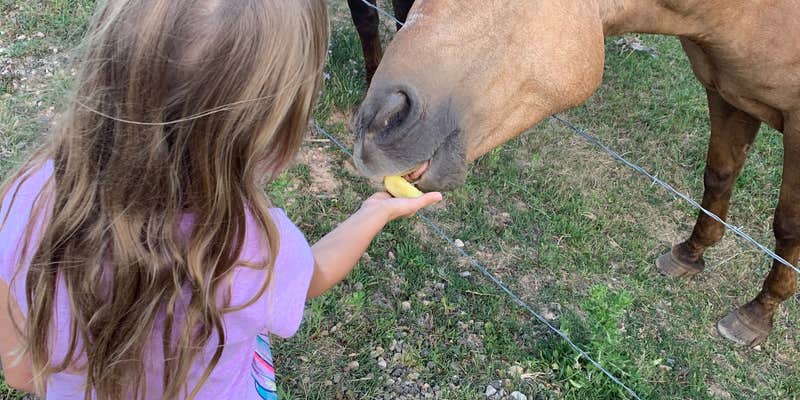Camper submitted image from Bryce Zion Campground
