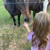 Review photo of Bryce Zion Campground by Lara K., October 16, 2021