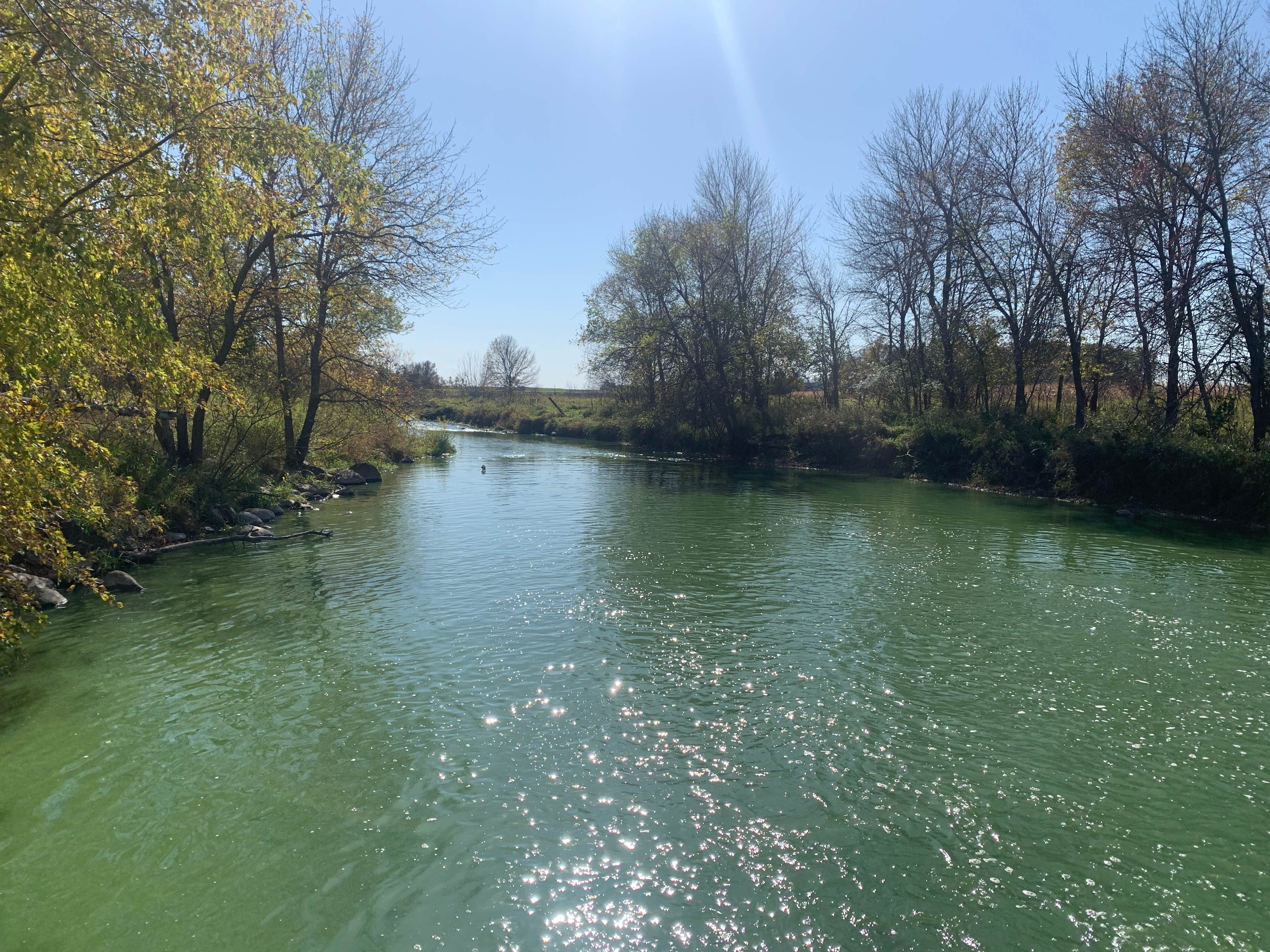 Camper submitted image from Lime Lake Co Park - 3