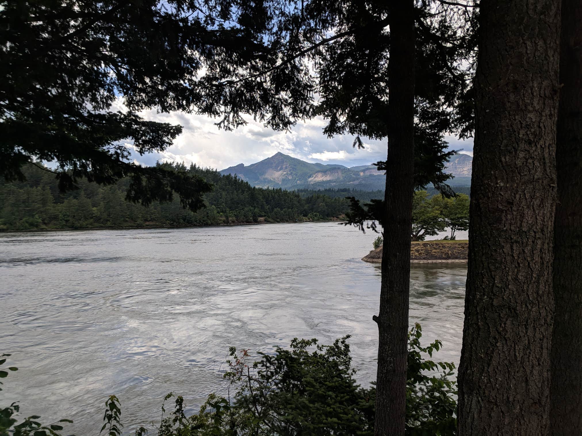 Camper submitted image from Port of Cascade Locks Campground - 5