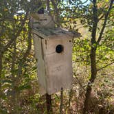 Review photo of Martin Creek Lake State Park Campground by Brianna B., October 16, 2021