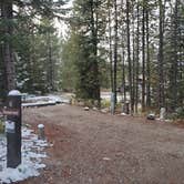 Review photo of Signal Mountain Campground — Grand Teton National Park by Angela G., October 17, 2021