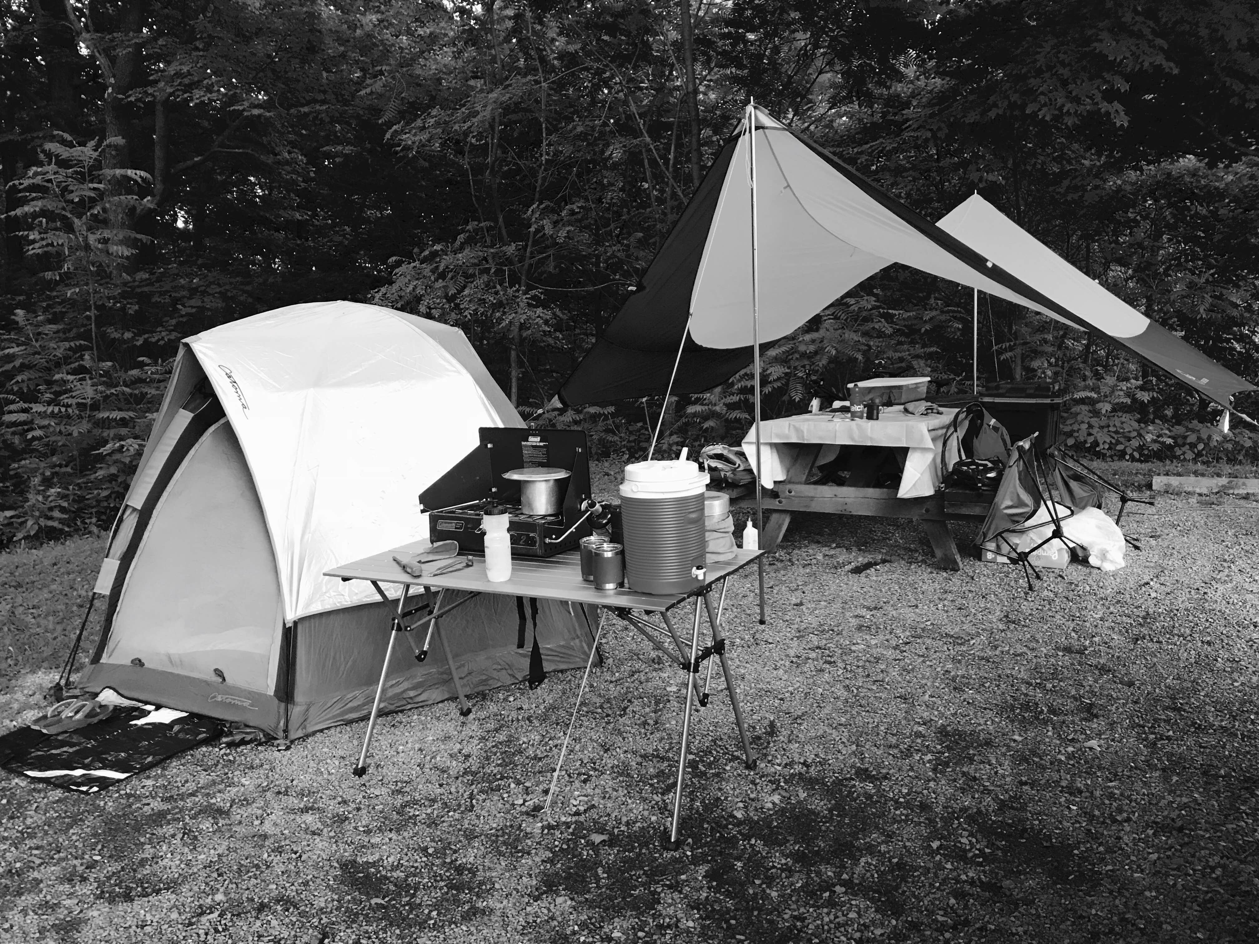 Travis S.'s photo at Blue Knob State Park Campground near South Fork, PA