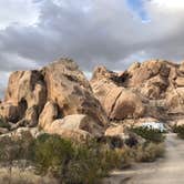 Review photo of Indian Cove Campground — Joshua Tree National Park by Stephanie Z., October 17, 2021