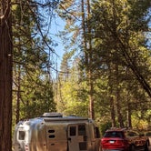 Review photo of Wawona Campground — Yosemite National Park by Ralph , October 17, 2021