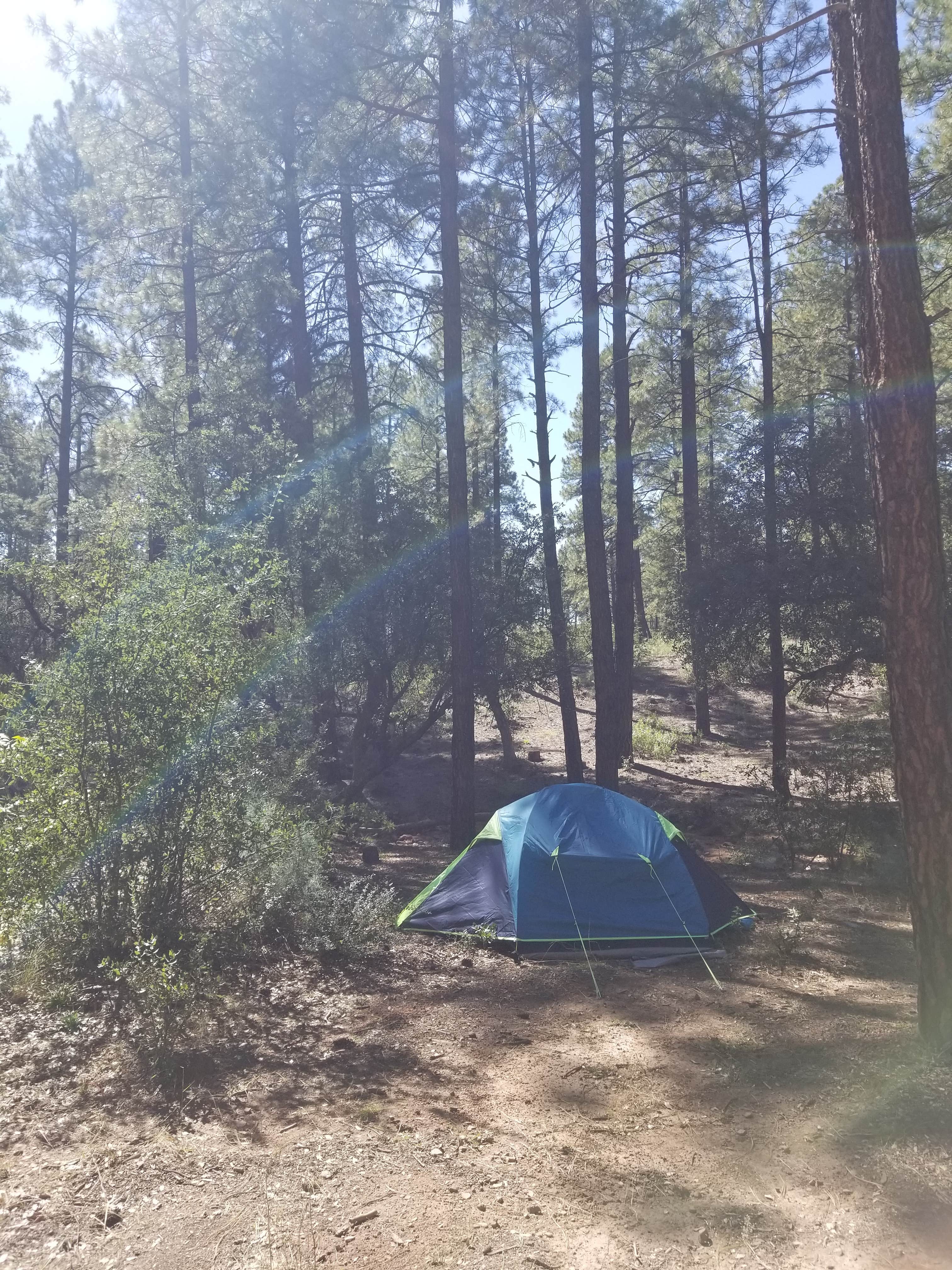 Camper-submitted photo at Little Green Valley - NF405A Dispersed near Payson, AZ