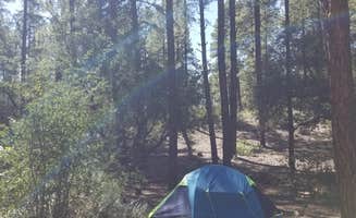alex M.'s photo of a dispersed camping area at Little Green Valley - NF405A Dispersed near Young, AZ
