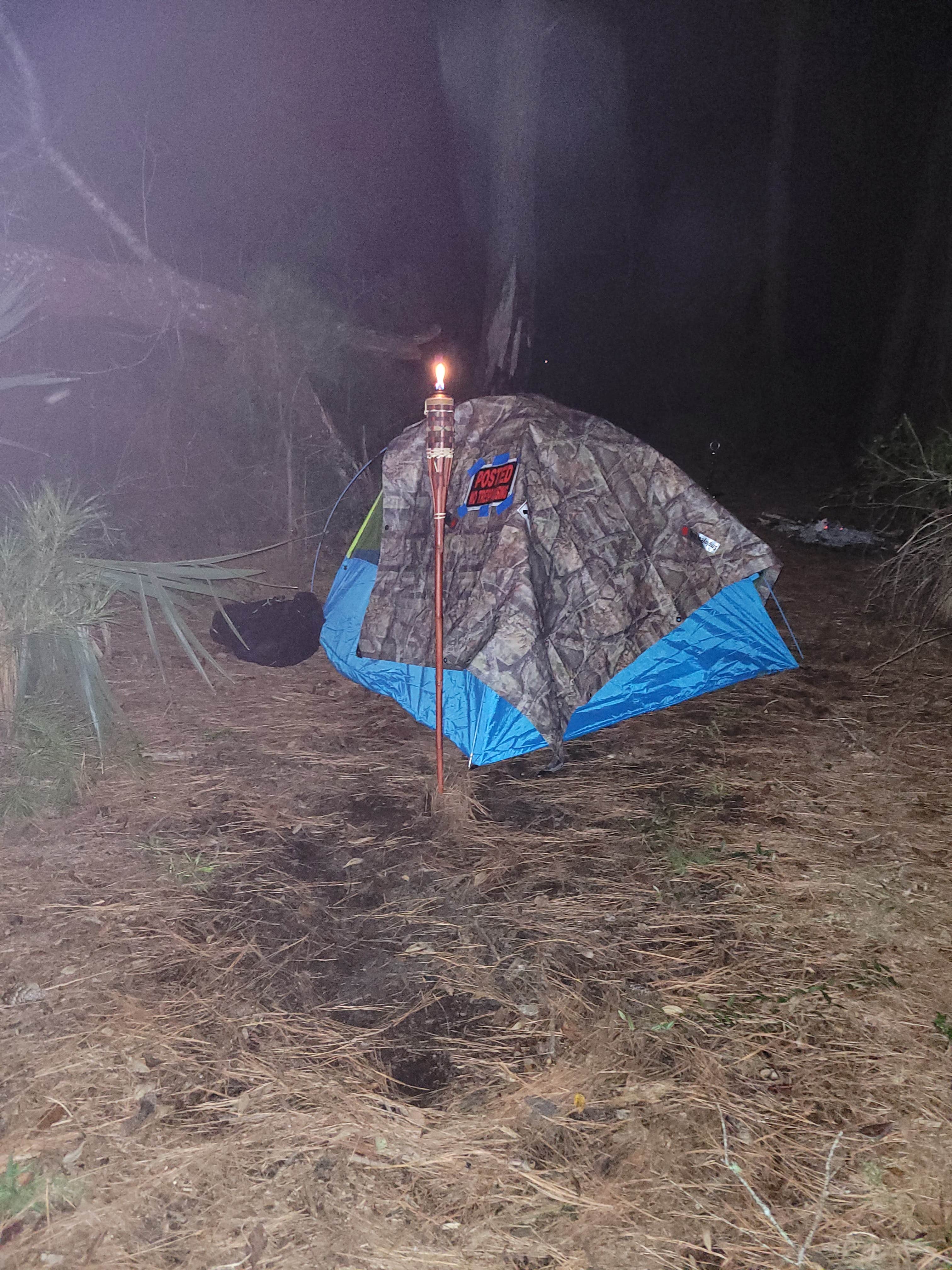 Comedian W.'s photo at Carolina Beach State Park Campground near Southport, NC