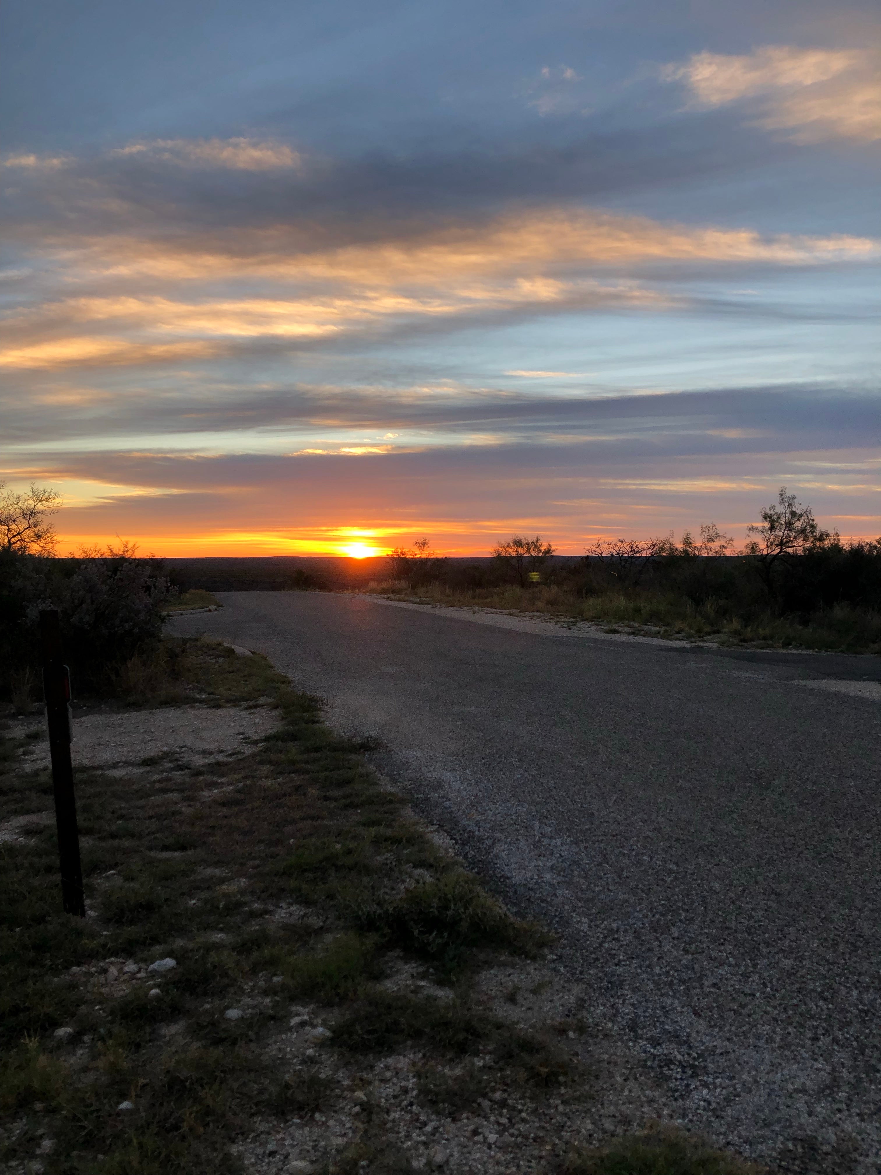 Camper submitted image from Hannold Draw — Big Bend National Park - 2