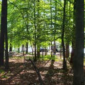 Review photo of Piney Grove Campground by Donnie D., October 17, 2021