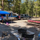 Review photo of Cliffs of the Neuse State Park Campground by Brooks L., October 3, 2021