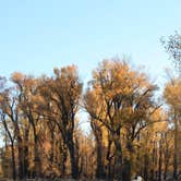 Review photo of Gros Ventre Campground — Grand Teton National Park by Julie M., October 17, 2021