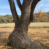 Review photo of Osbourne Bay Campground — Steamboat Rock State Park by Judy T., October 17, 2021