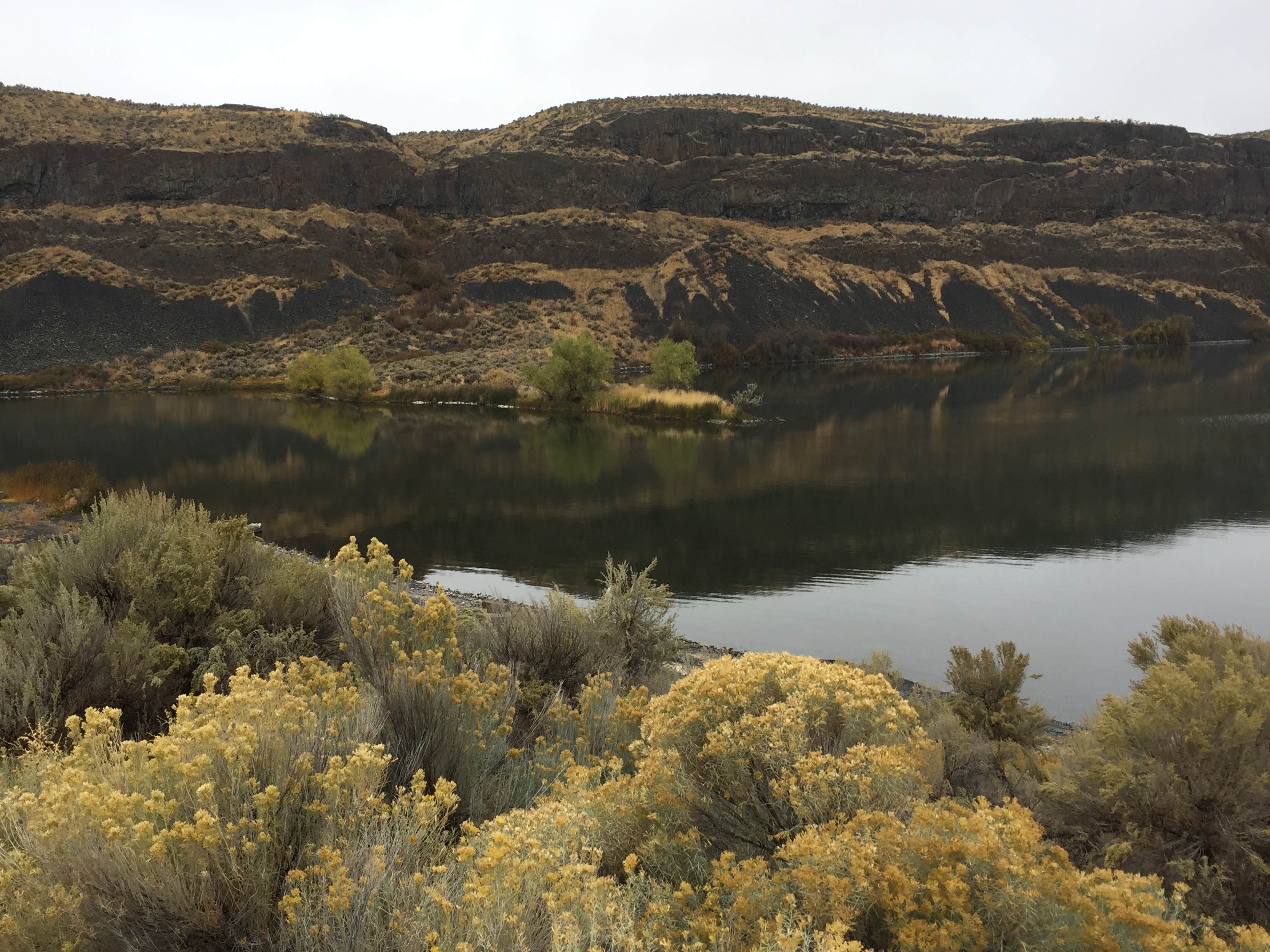 Camping near Trail Lake Dispersed: Jameson Lake, Coulee City, Washington