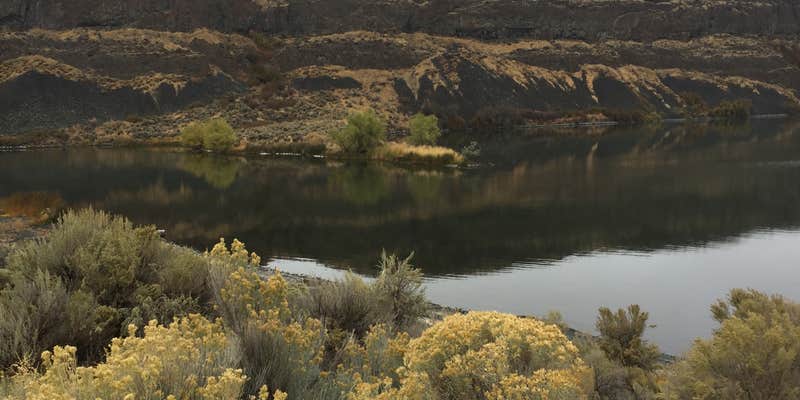 Camper submitted image from Jameson Lake