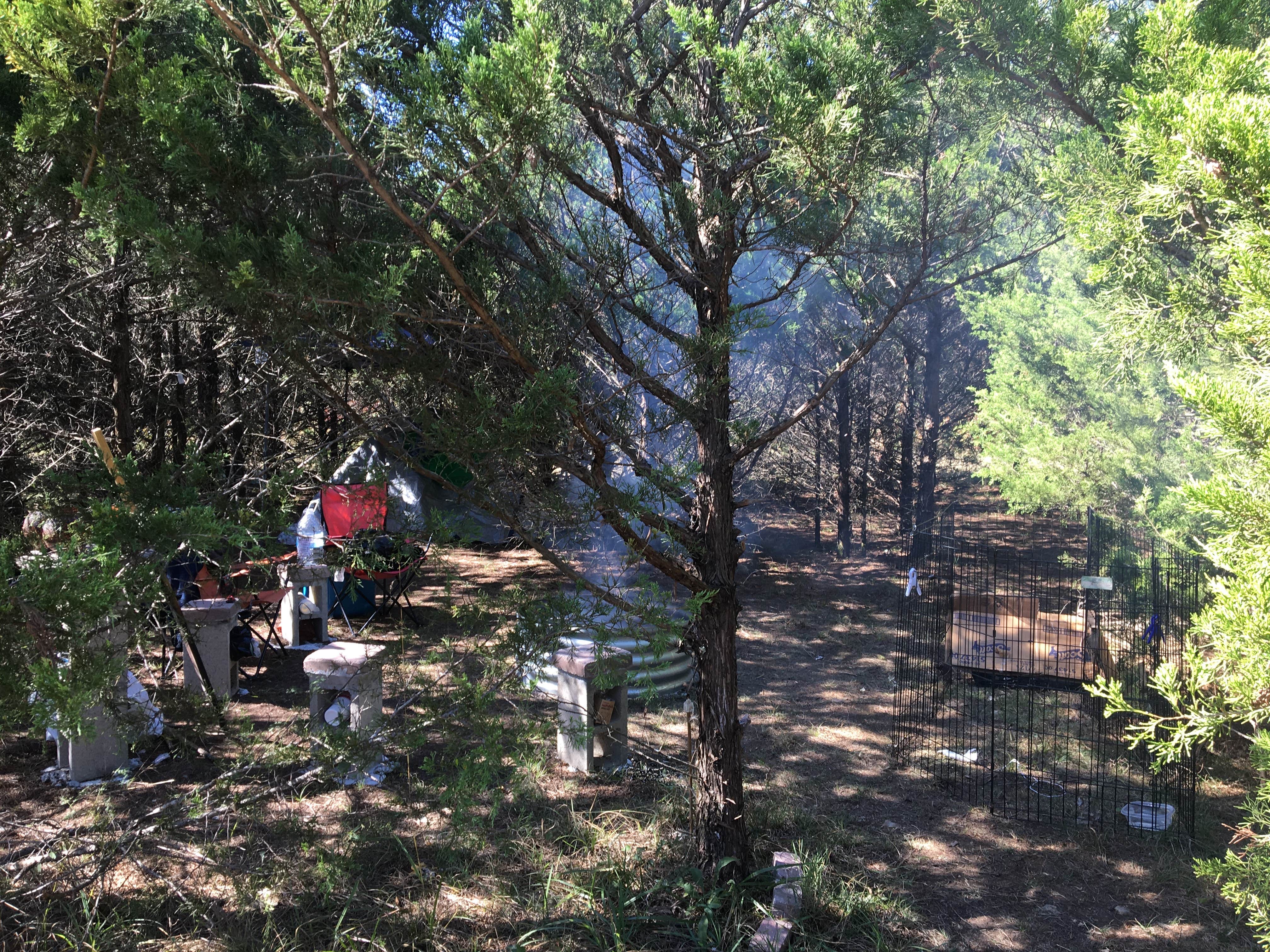 Laura T.'s photo at B Berry Farms & Co. near Pleasant Hope, MO