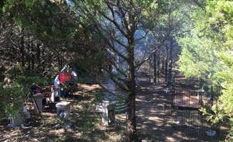 Laura T.'s photo at B Berry Farms & Co. near Lebanon, MO