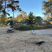 Review photo of New Brighton State Beach Campground by H L., October 17, 2021