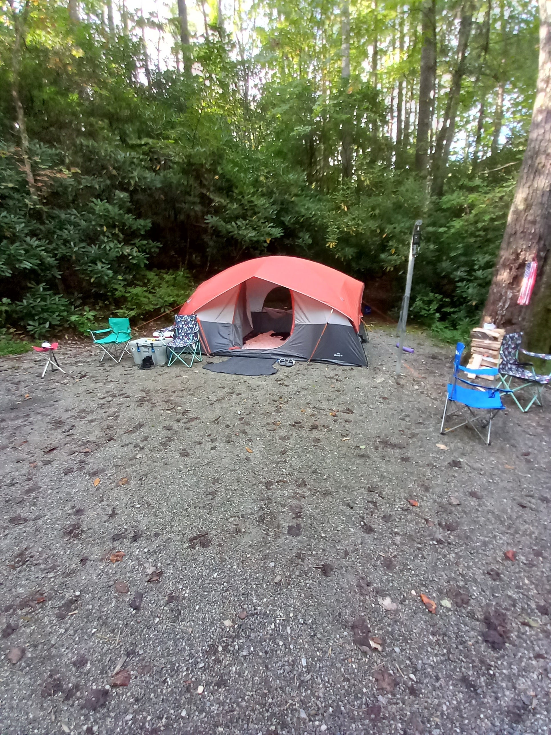 Camper submitted image from Blue Valley Dispersed Camping - 1