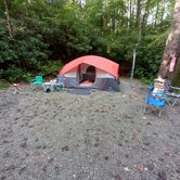 Review photo of Blue Valley Dispersed Camping by Kelli , October 17, 2021
