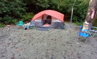 Kelli's photo of a dispersed camping area at Blue Valley Dispersed Camping near Hartwell Lake