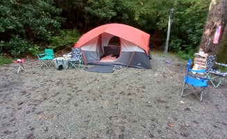 Camper-submitted photo from Blue Valley Dispersed Camping