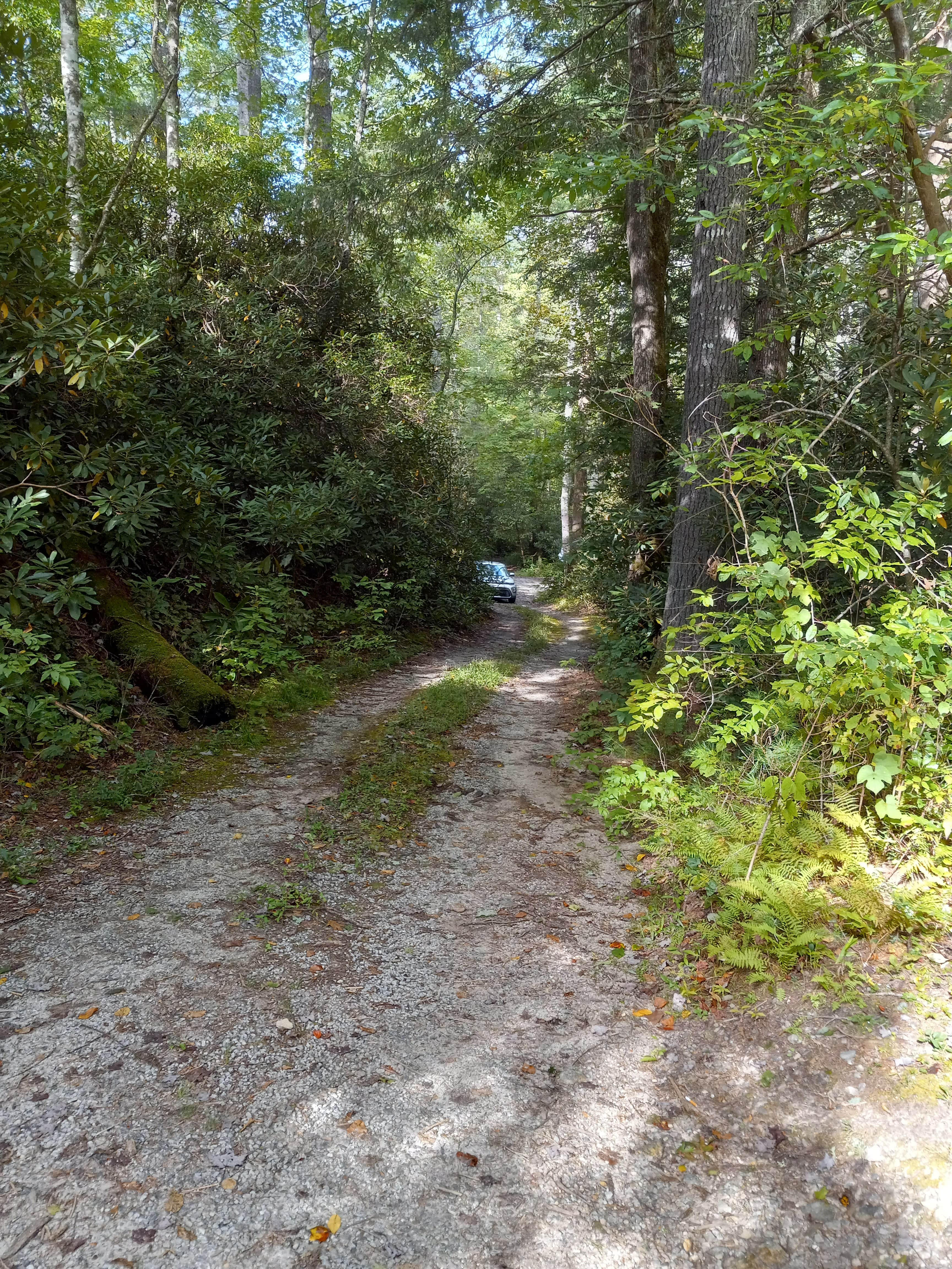 Camper-submitted photo at Blue Valley Dispersed Camping near Scaly Mountain, NC