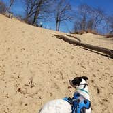 Review photo of Dunewood Campground — Indiana Dunes National Park by Tammie R., July 4, 2018