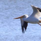 Review photo of Bernice Area at Grand Lake State Park by Jeremy C., October 17, 2021