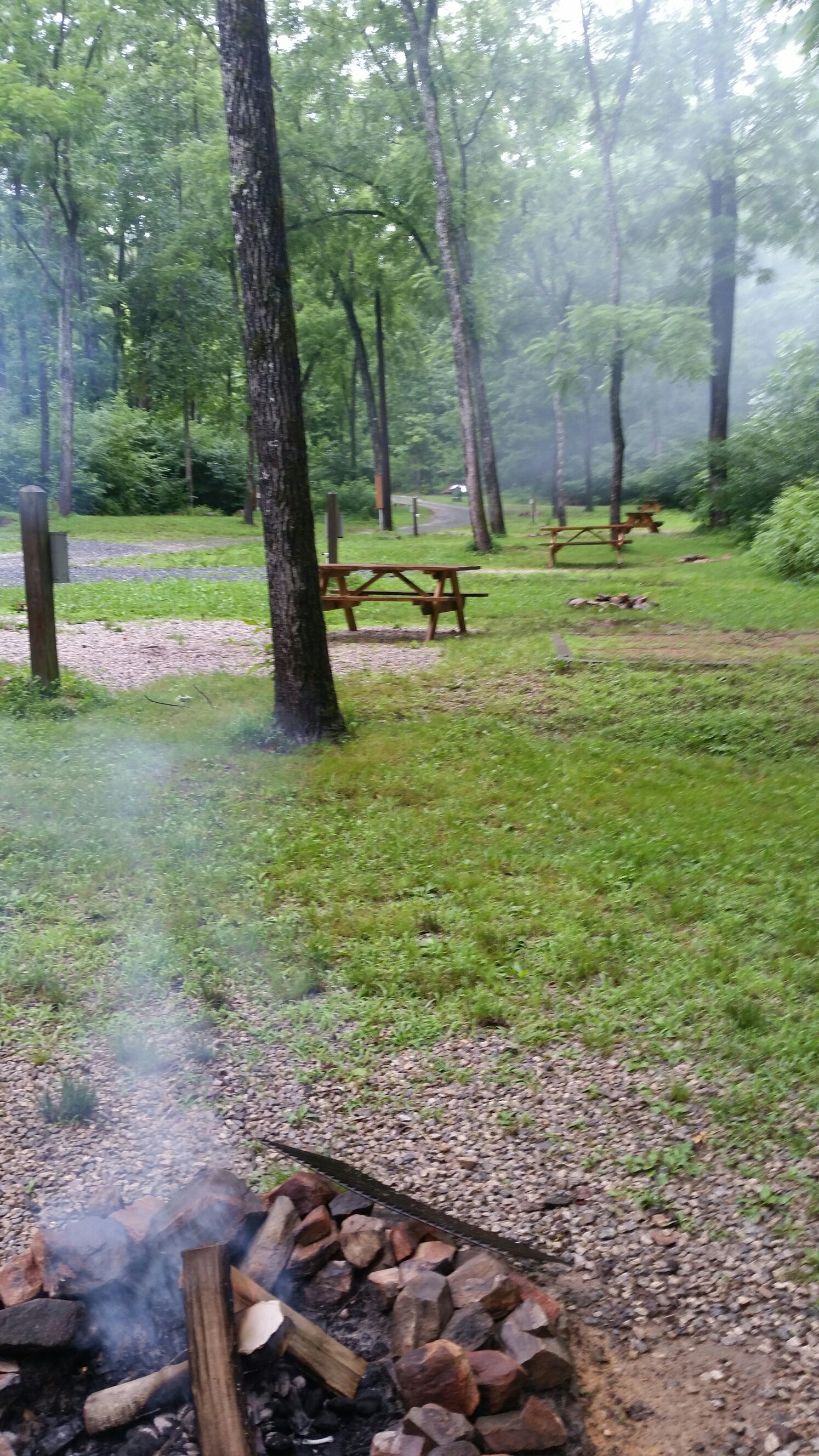 Camper submitted image from Turkey Creek Campground - 2