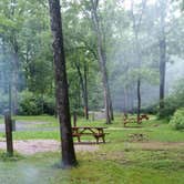 Review photo of Turkey Creek Campground by Jason L., July 4, 2018