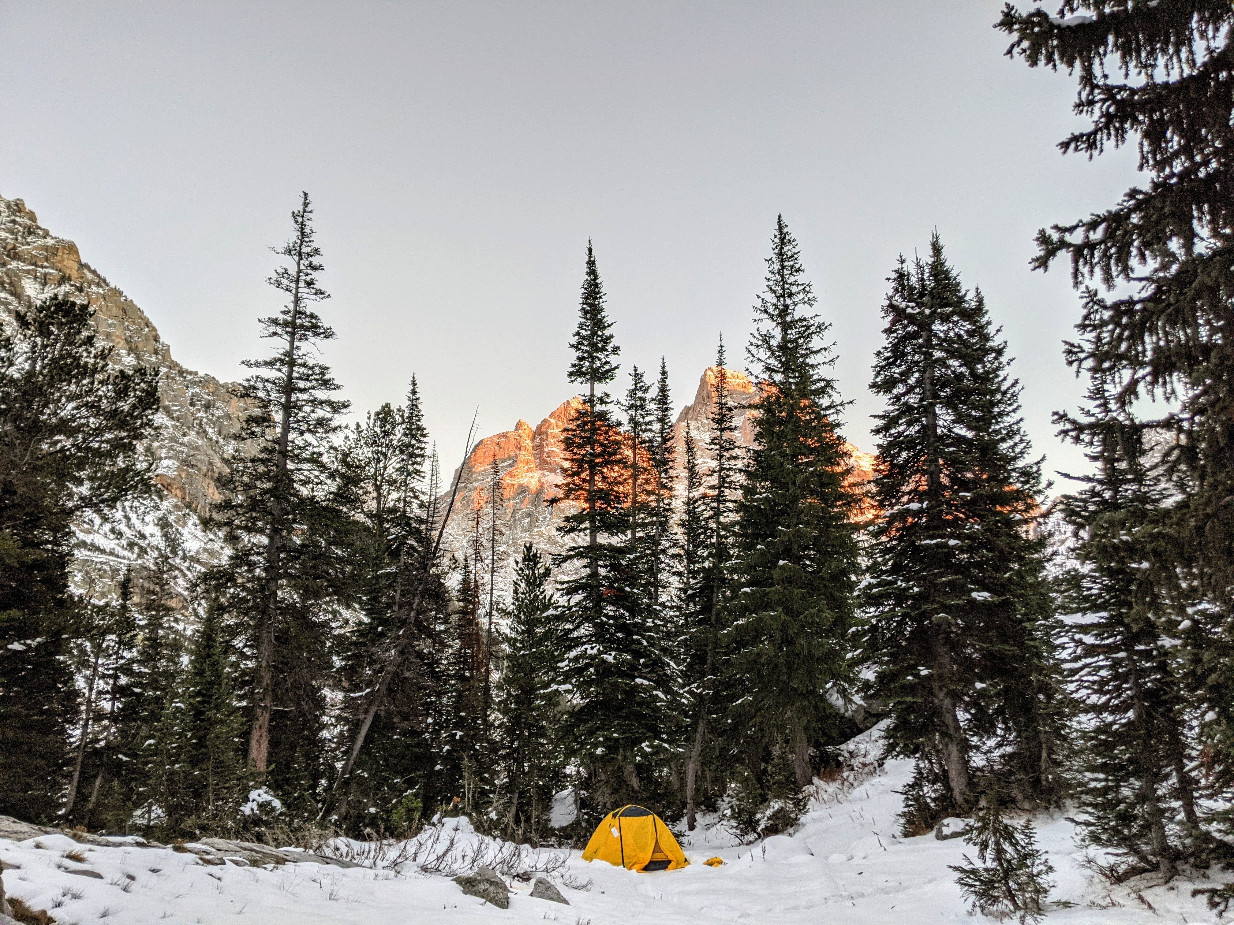 Camper submitted image from Cascade Canyon - North Fork — Grand Teton National Park - 1