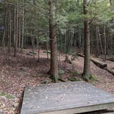 Review photo of Monadnock State Park Campground by Steph V., October 17, 2021