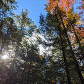 Review photo of Monadnock State Park Campground by Steph V., October 17, 2021