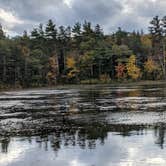 Review photo of Monadnock State Park Campground by Steph V., October 17, 2021