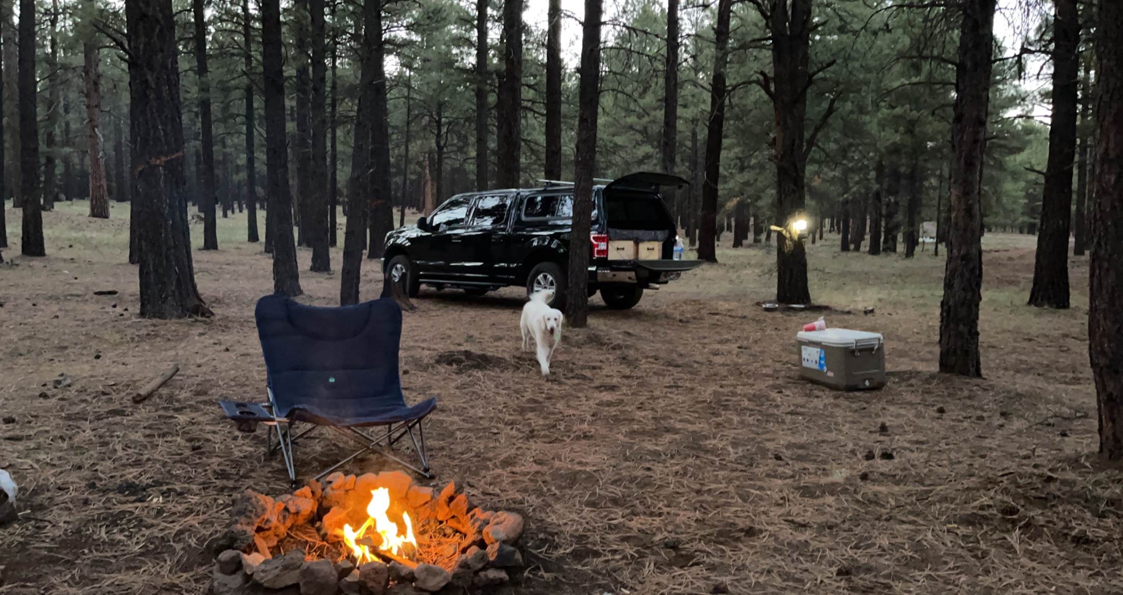 Jarrin N.'s photo at FR 222 Dispersed near Bellemont, AZ