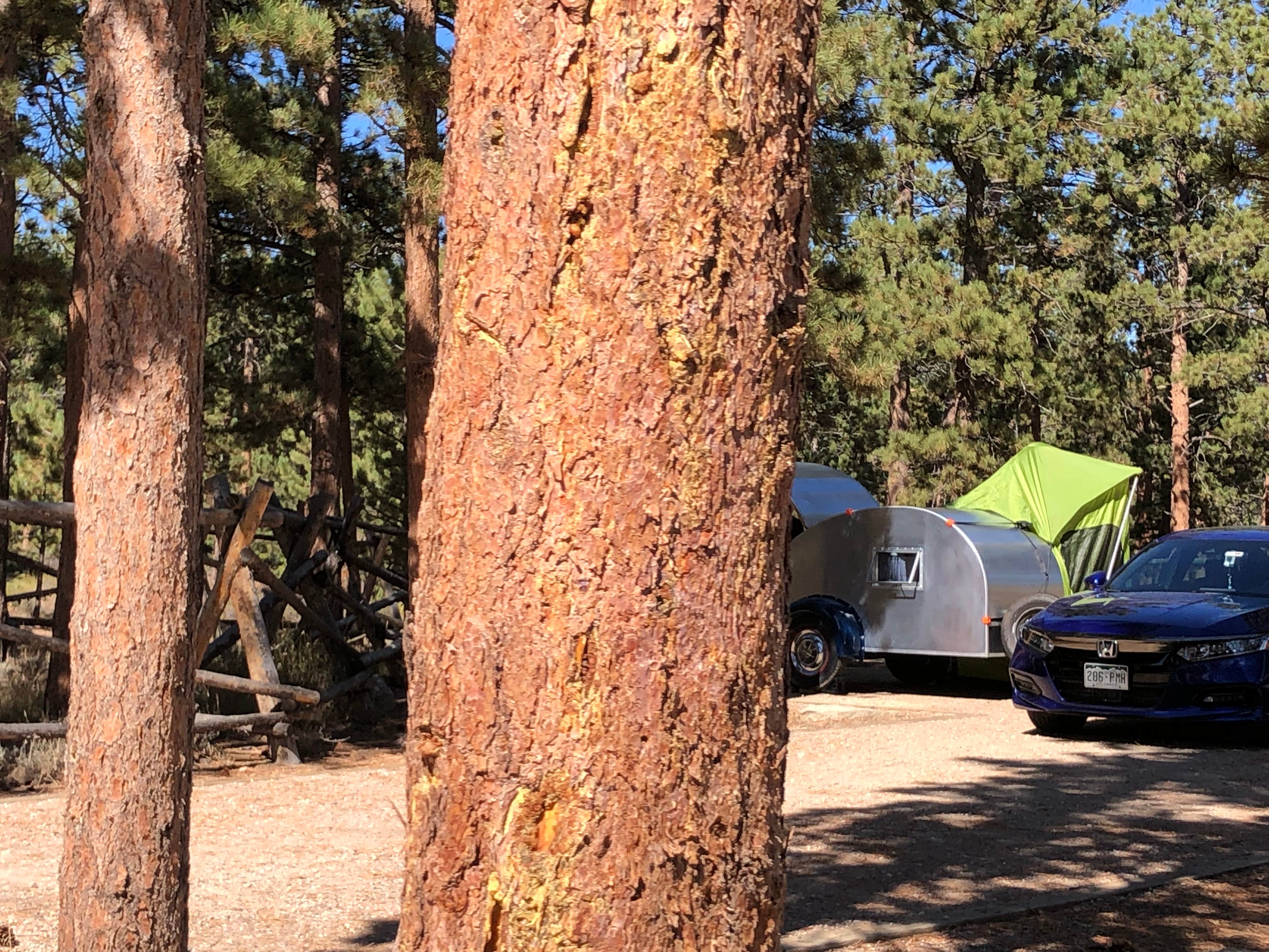 N I.'s photo at Dowdy Lake Campground near Red Feather Lakes, CO