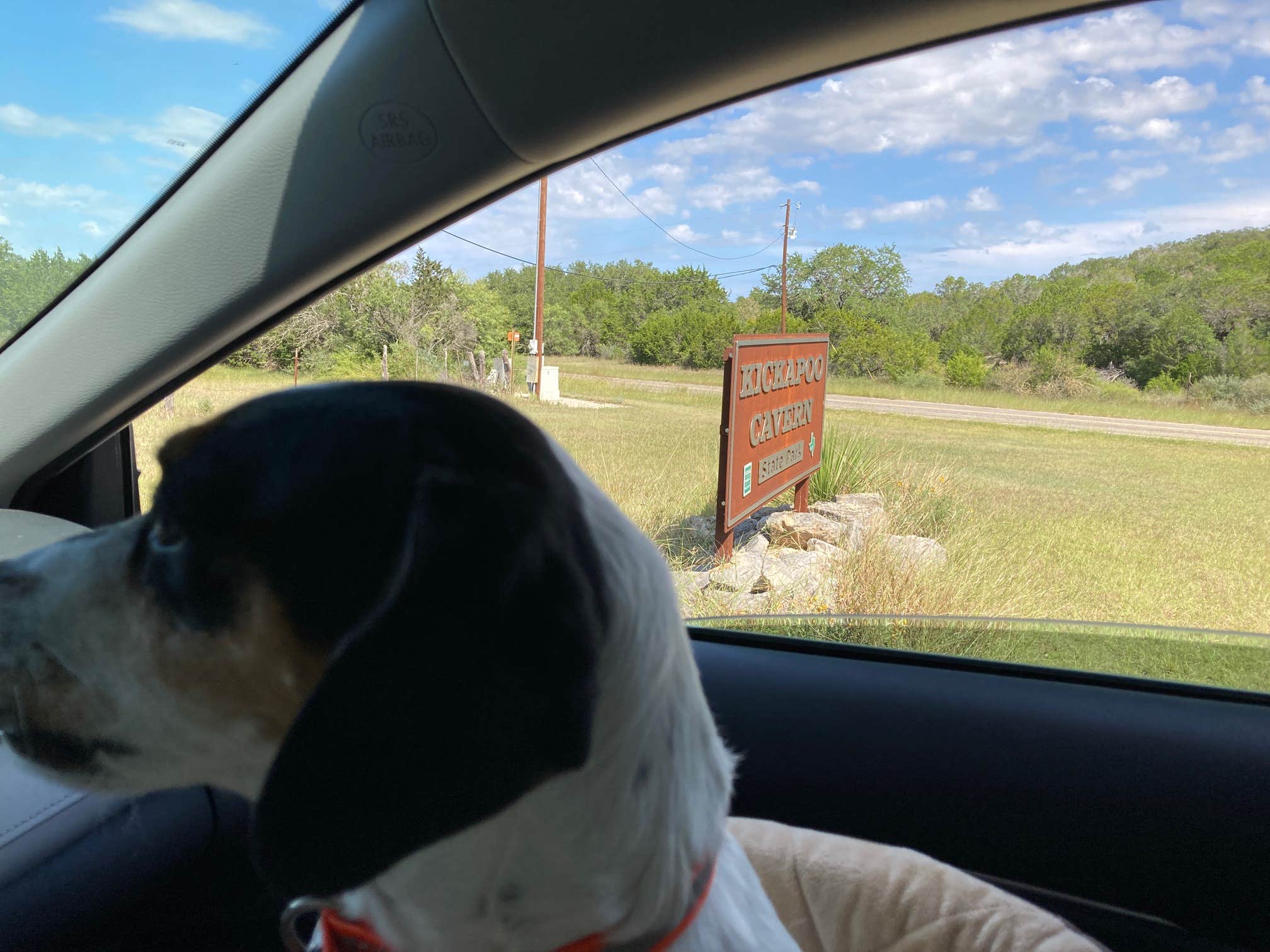 ROBERT J.'s photo of camping with pets at Kickapoo Cavern State Park Campground near Uvalde, TX