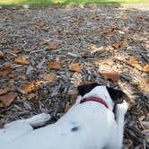 Review photo of Gobbler's Run Campground — Lincoln State Park by Tammie R., May 15, 2018