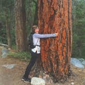 Review photo of Lodgepole Campground — Sequoia National Park by Chelsey S., July 4, 2018