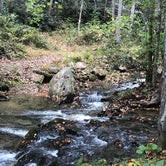 Review photo of Catawba Falls Campground by Bianca R., October 18, 2021