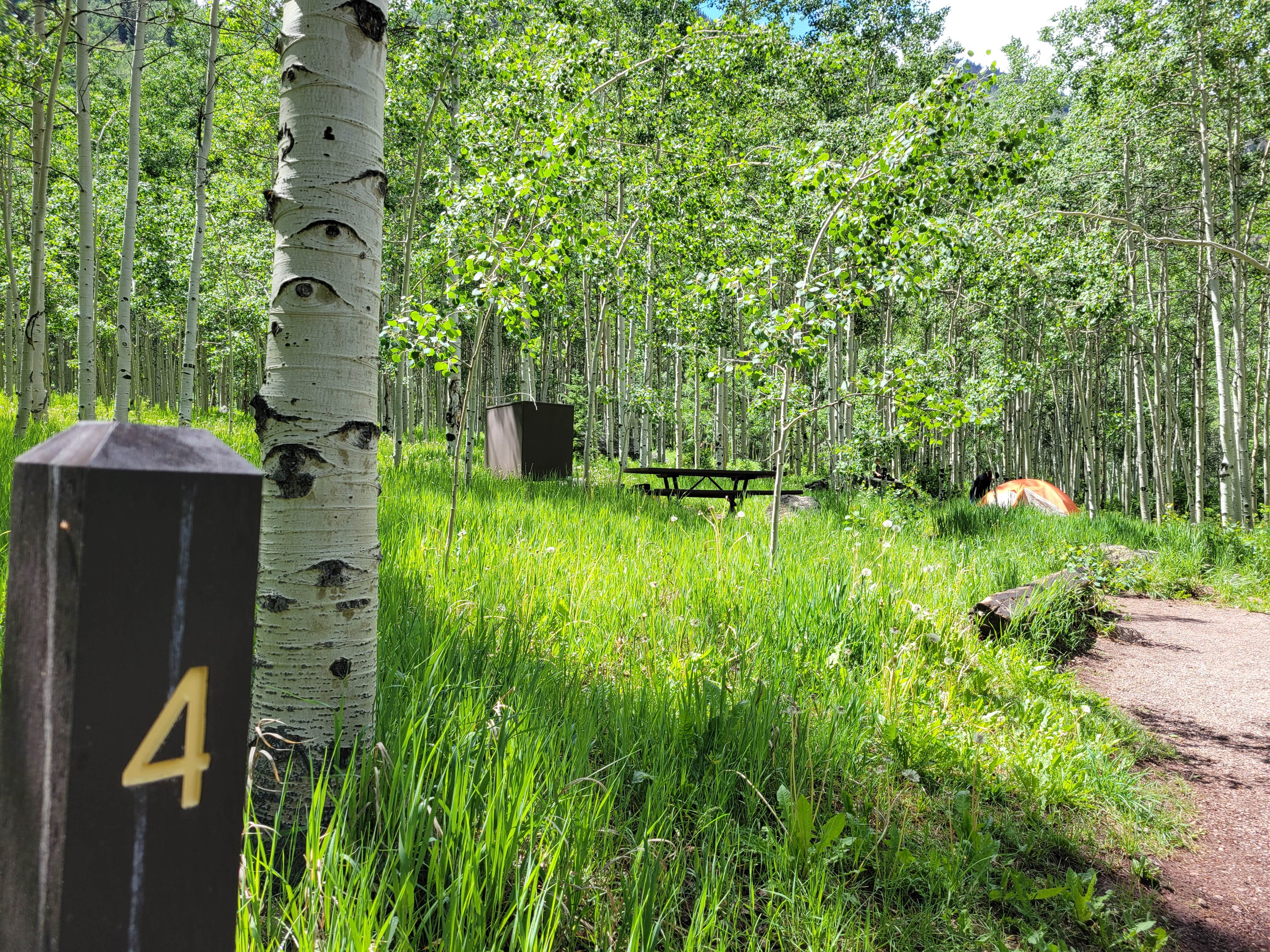Camper-submitted photo at Silver Queen Campground near Aspen, CO