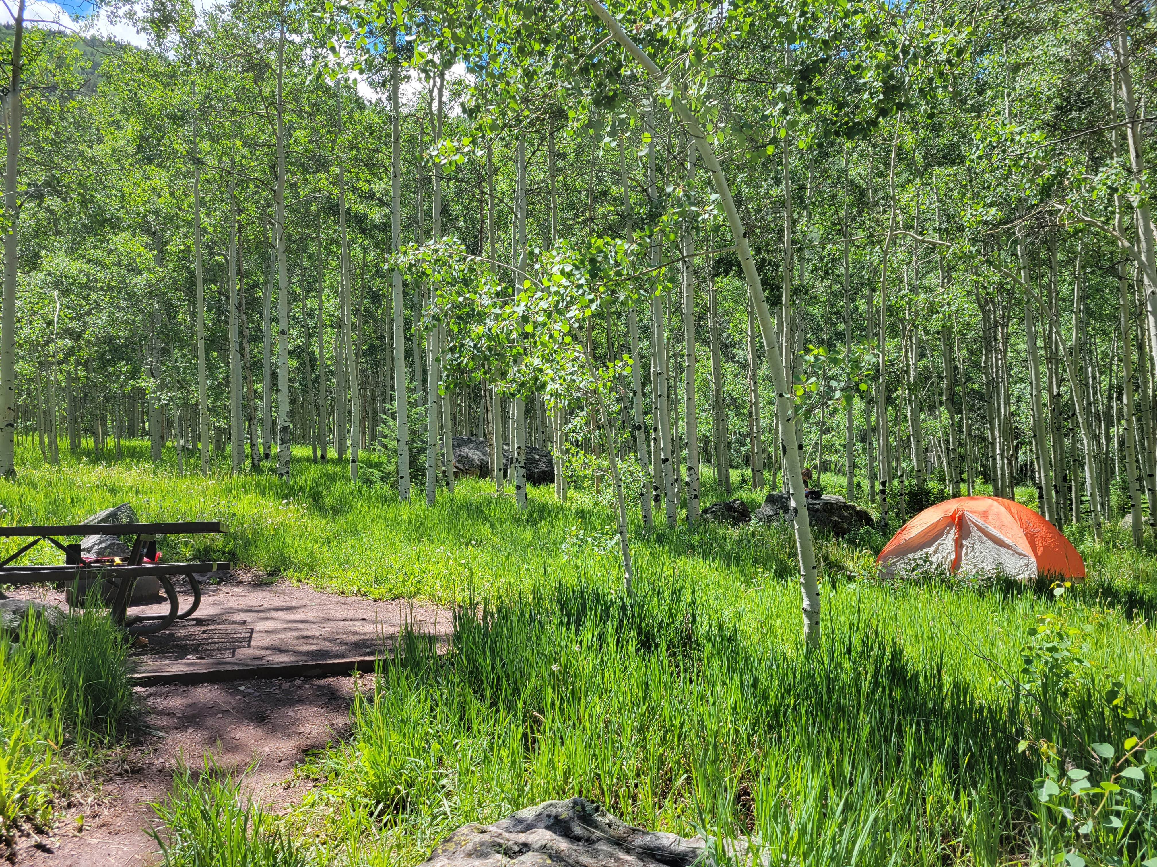 Megan's photo at Silver Queen Campground near Snowmass Village, CO