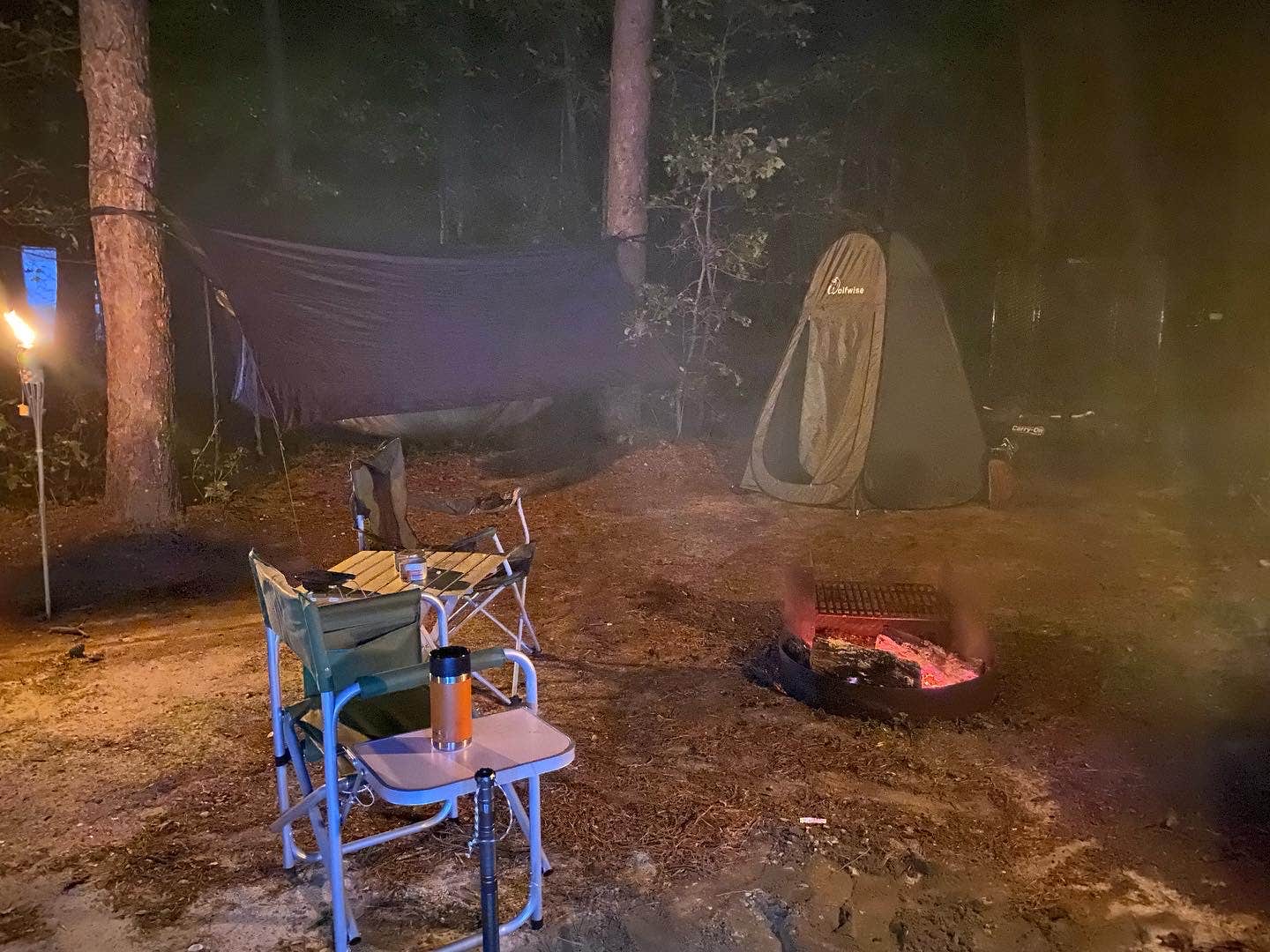 Adeline K.'s photo at Brendan Byrne State Forest near Manahawkin, NJ