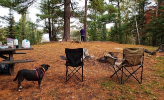 Fred S.'s photo of camping with pets at Trail's End Campground near Superior National Forest