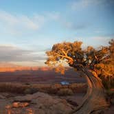 Review photo of Kayenta Campground — Dead Horse Point State Park by Tammie R., July 4, 2018