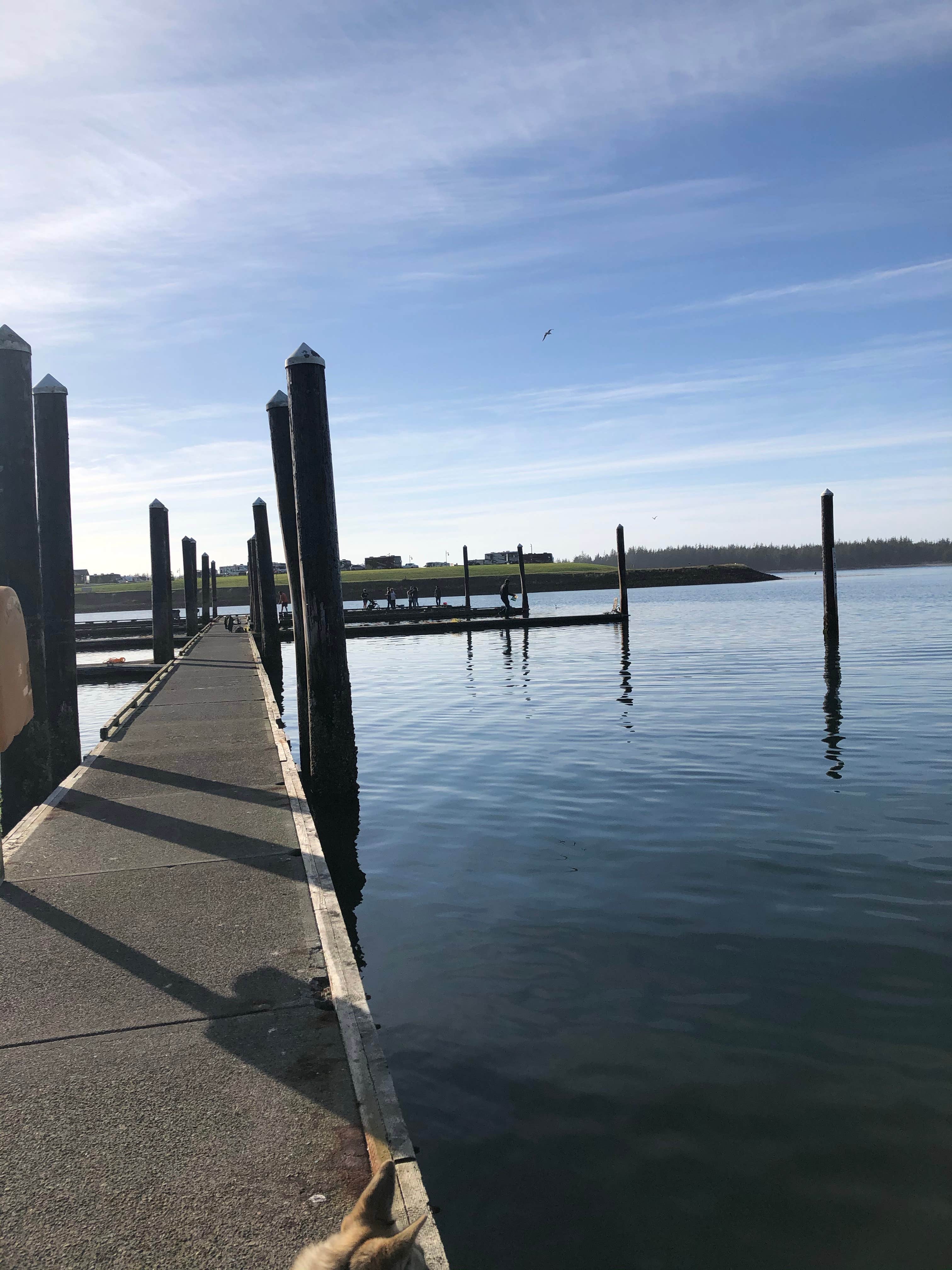 Camping near Half Moon Bay Campground: Salmon Harbor Marina, Reedsport, Oregon